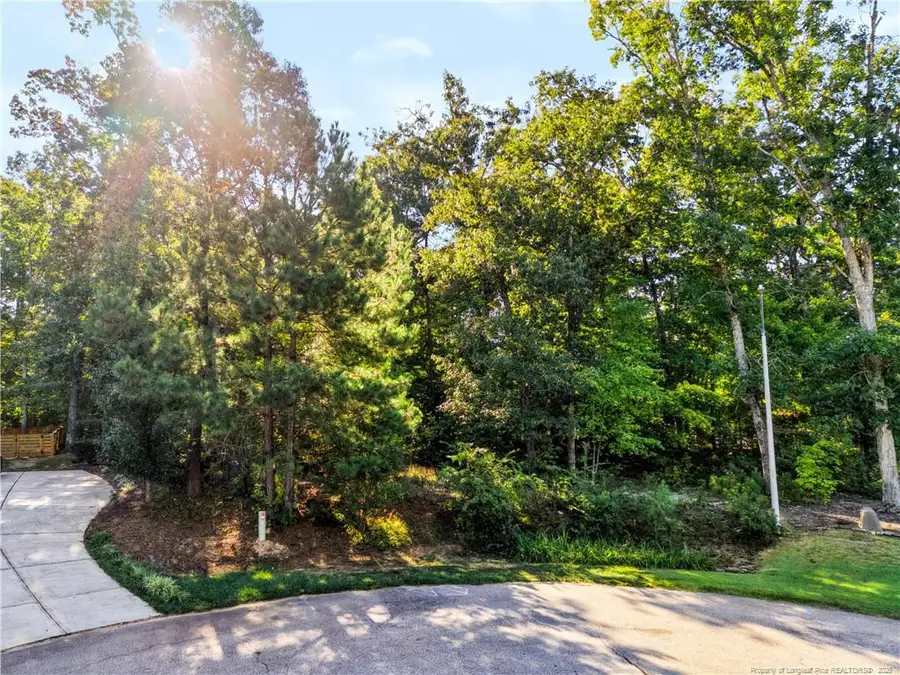 tbd Panners Place, Sanford, NC 27330 - #3