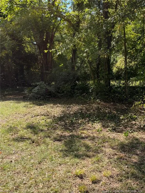 417 Moore Street, Fayetteville, NC 28301 - #2