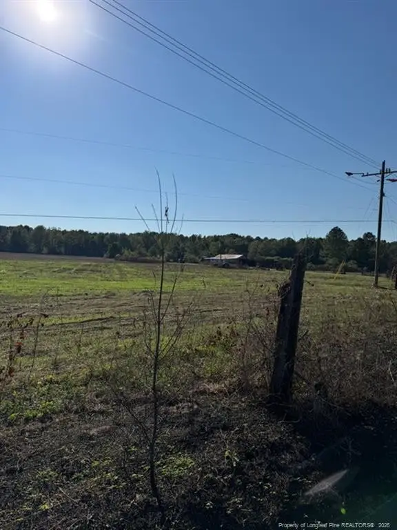 Union School Road, Rowland, NC 28383 - #2