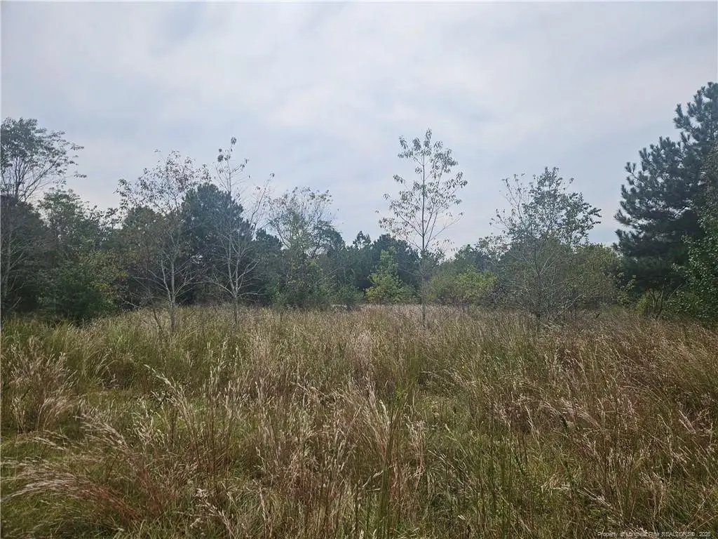 Shannon Road, Shannon, NC 28386 - #1