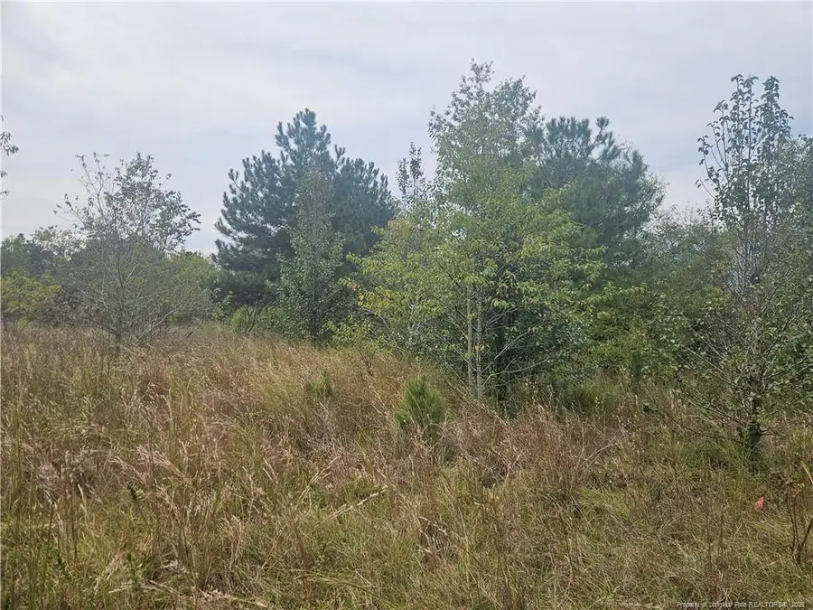 Shannon Road, Shannon, NC 28386 - #2