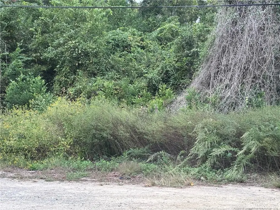 Pelt Drive, Fayetteville, NC 28301 - #3