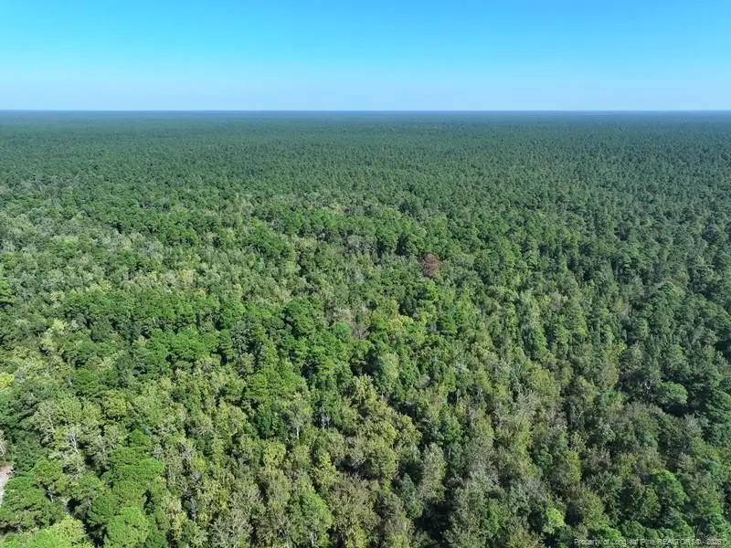 Angola Bay, Wallace, NC 28466 - #1