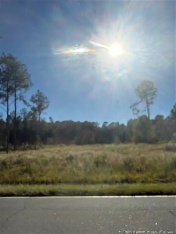 1291 Bill Hooks Road, Whiteville, NC 28472 - #3