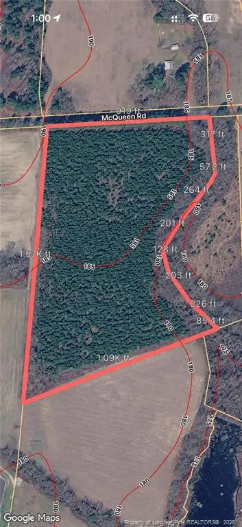 None Mcqueen Road, Laurinburg, NC 28352 - #1