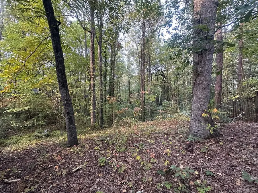 5908 Waters Edge Drive, Fayetteville, NC 28314 - #3