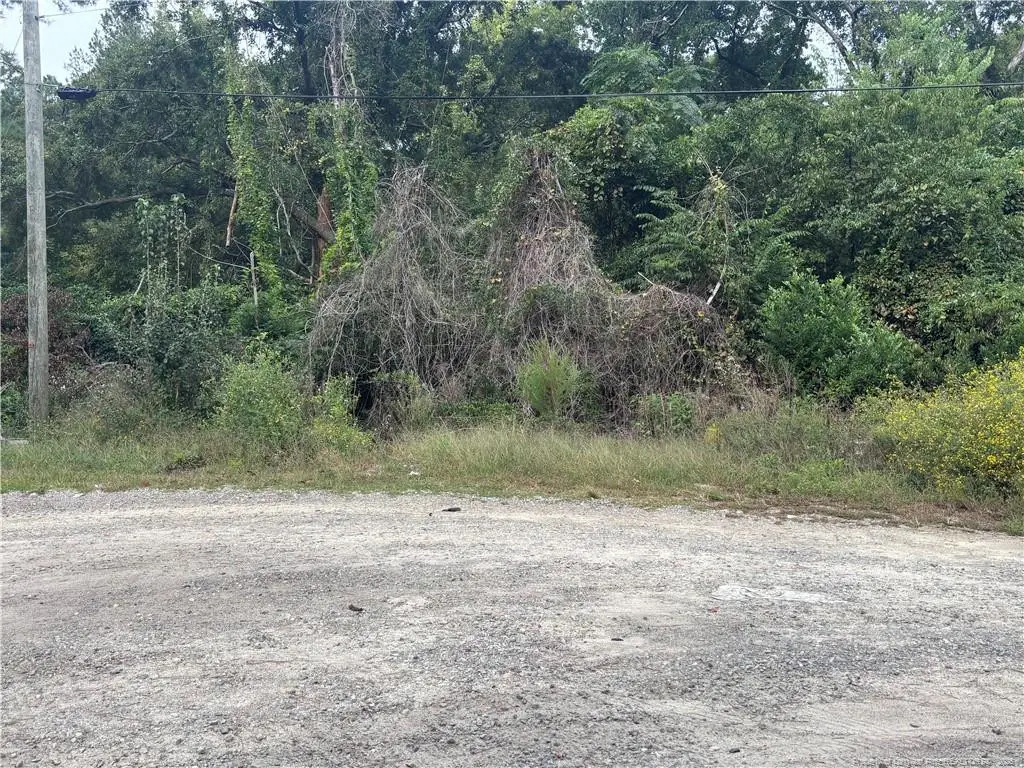 Pelt Drive, Fayetteville, NC 28301 - #1