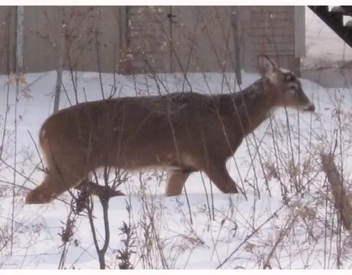 0 Huntinghouse Road, Glocester, RI 02859