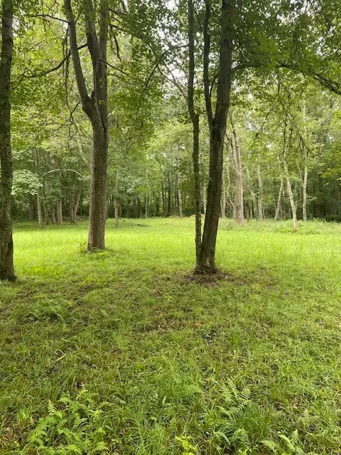 #1