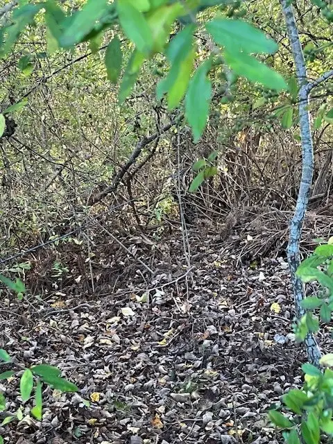 #2