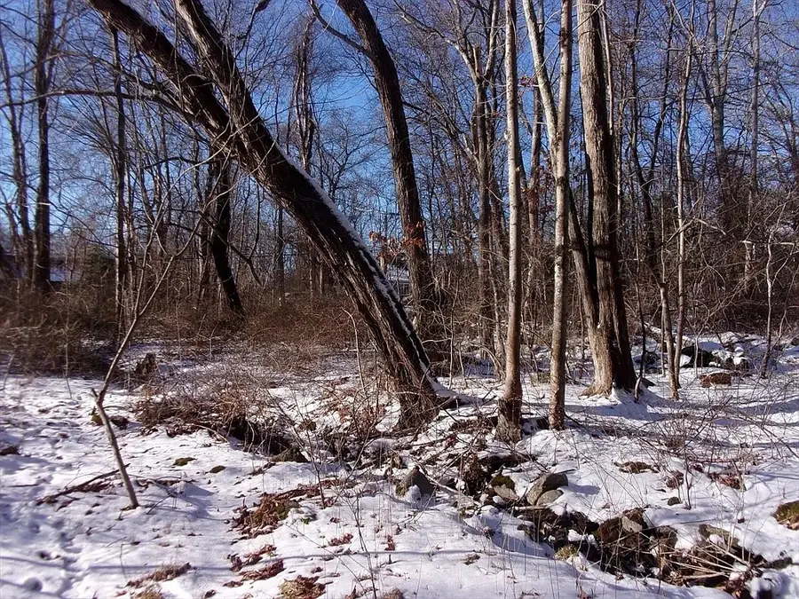 90 Chestnut Hill Road, Millville, MA 02529 - #2