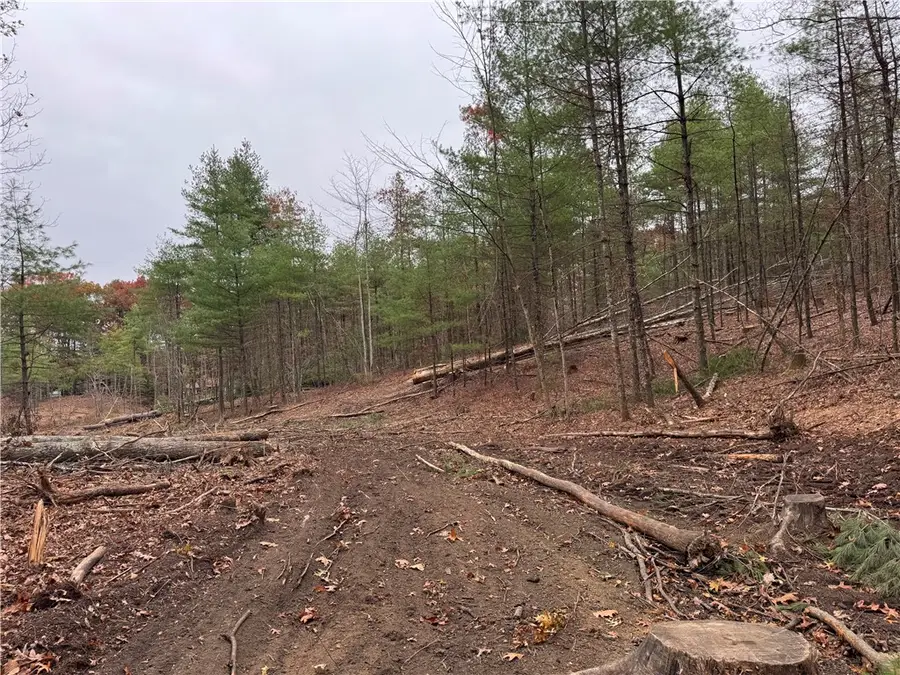 0 Steere Farm Road, Burrillville, RI 02830 - Image #2