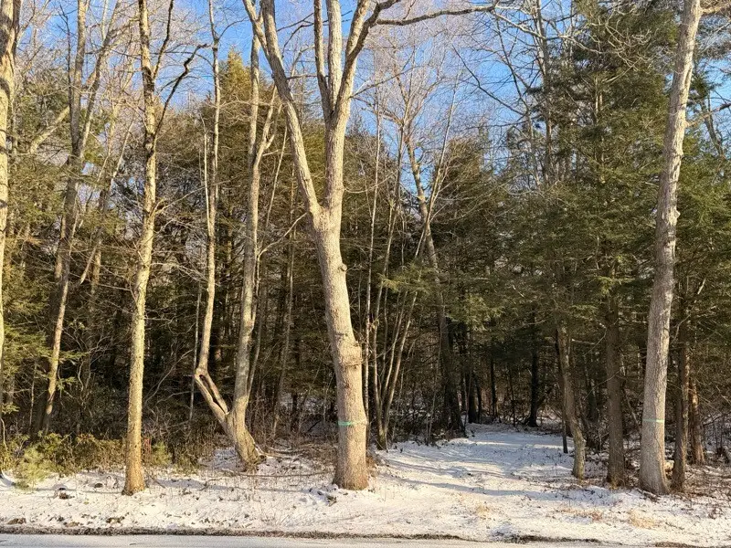 0 Chopmist Hill Road, Glocester, RI 02859 - Image #2