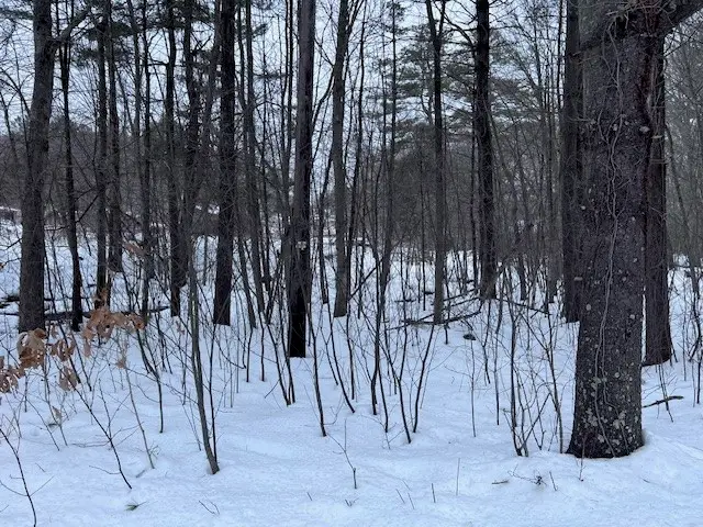 0 Wallum Lake Road, Burrillville, RI 02859 - #1