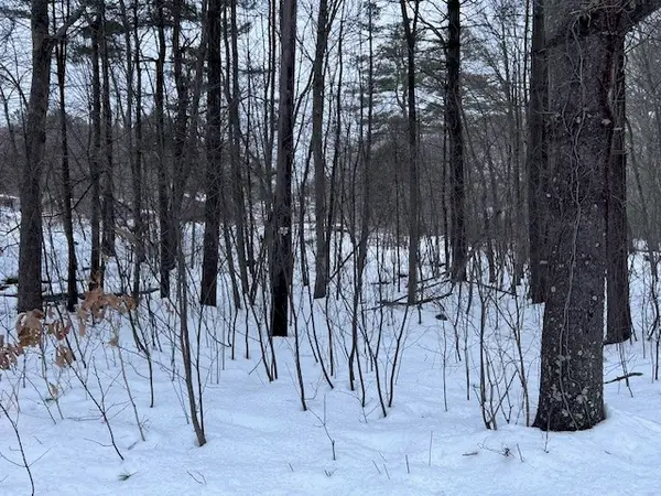 0 Wallum Lake Road, Burrillville, RI 02859