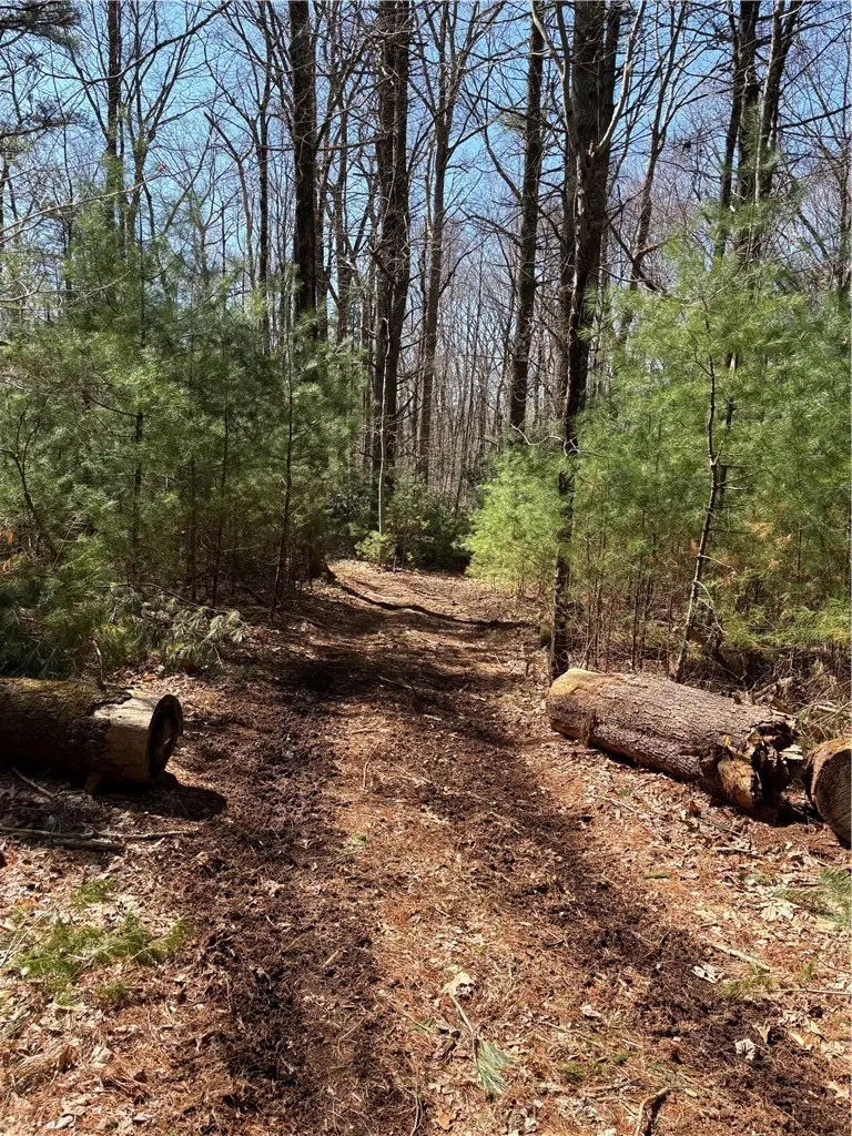 0 Putnam Pike, Glocester, RI 02814 - #2