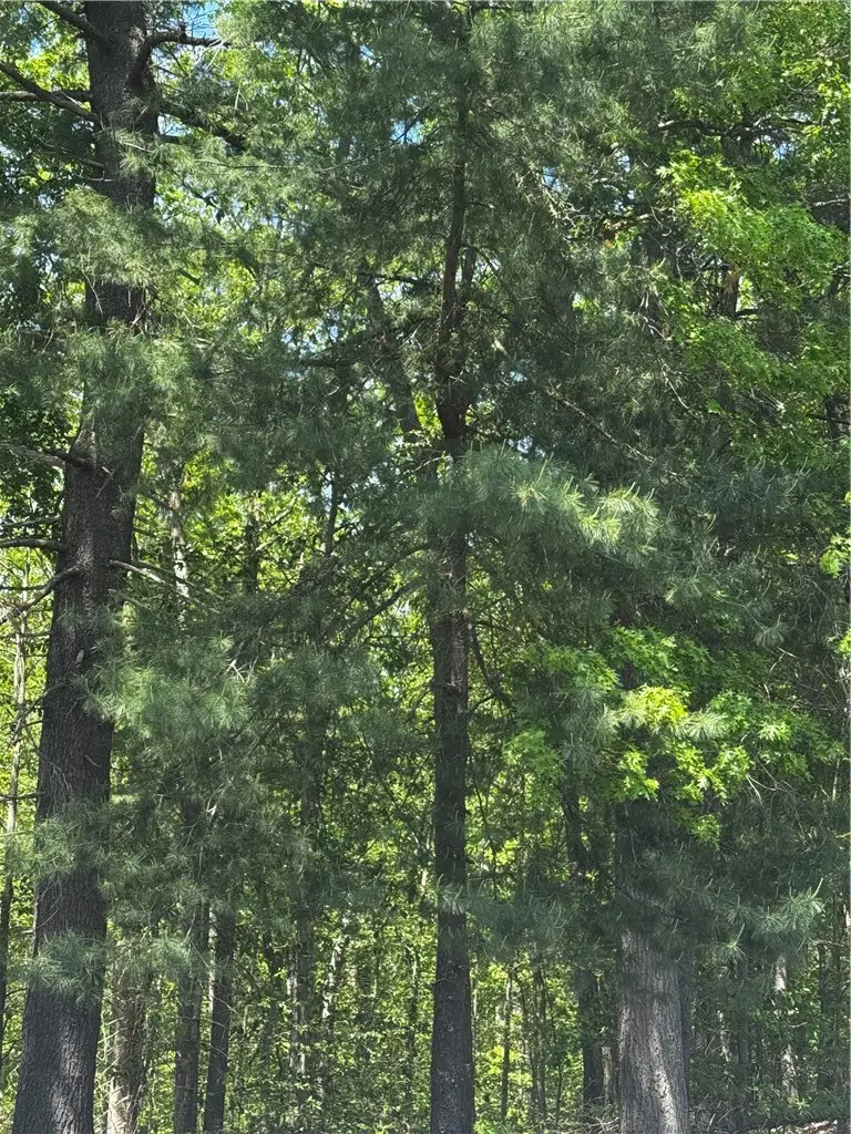 0 East Wallum Lake Road, Burrillville, RI 02830 - #1