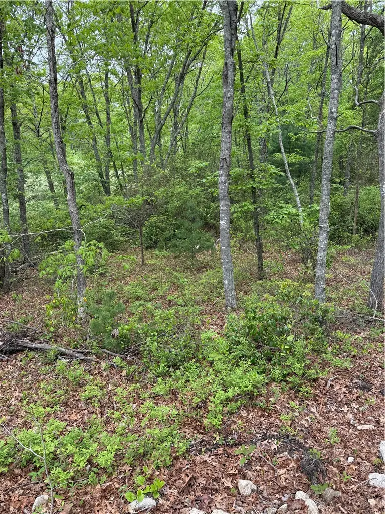 14 Fallon Trail, Westerly, RI 02891 - #2