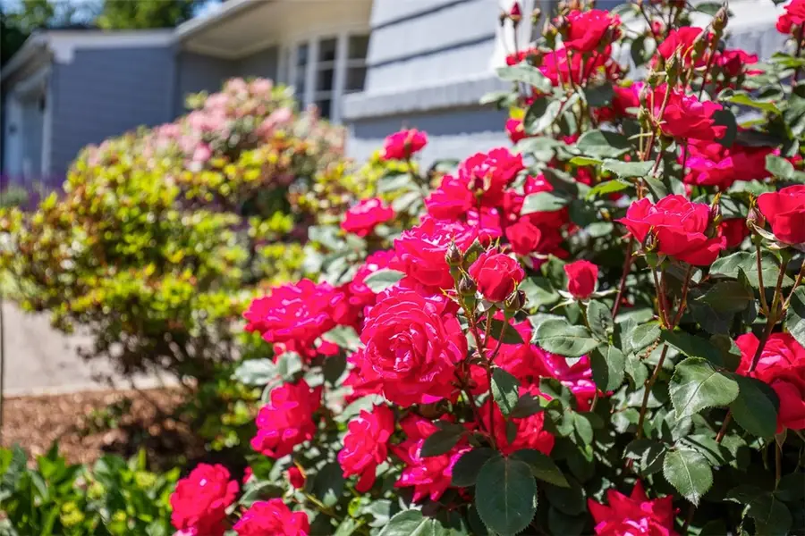 71 Primrose Hill Road, Barrington, RI 02806 - #3