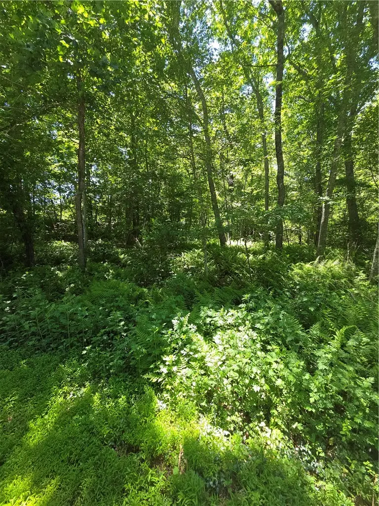 85 Diamond Hill Road, Hopkinton, RI 02833 - #2