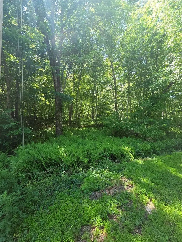 85 Diamond Hill Road, Hopkinton, RI 02833 - #3