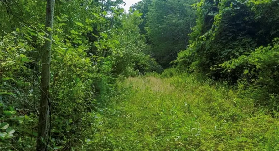 0 Lawton Foster Road S, Hopkinton, RI 02833 - #2