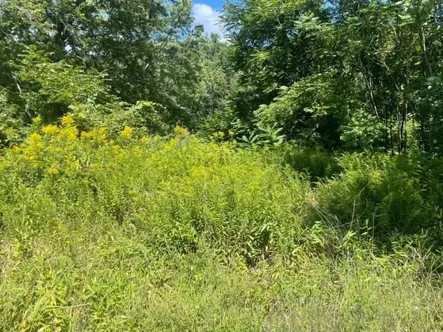 0 Wallum Lake Road, Burrillville, RI 02859 - #2