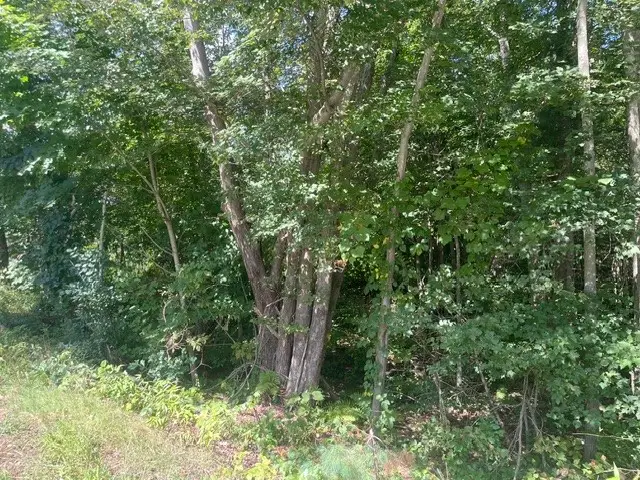 0 Wallum Lake Road, Burrillville, RI 02859 - #3