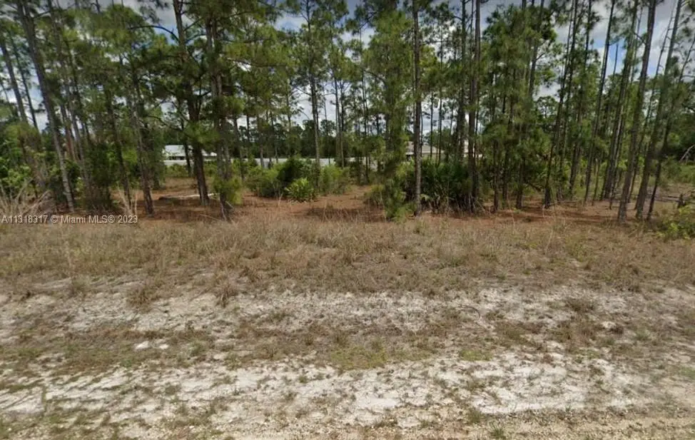 402 Abbott, Lehigh Acres, FL 33972 - #1