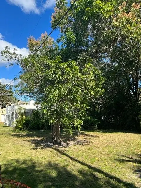 821 NE 120th Street, Biscayne Park, FL 33161 - #3