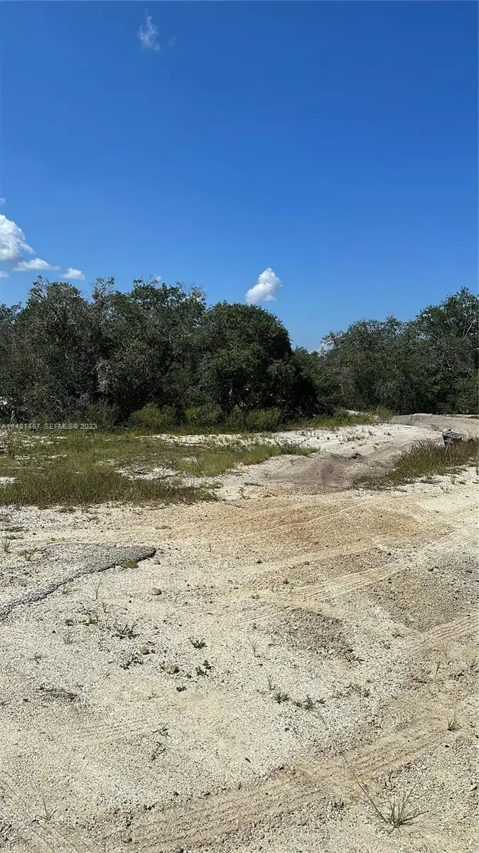 412 Eleanor Boulevard, Lake Placid, FL 33852 - #1