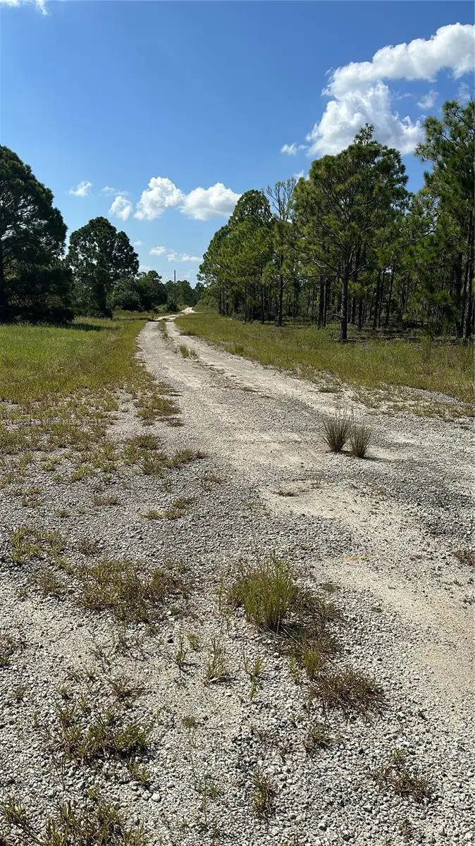 341 Moon River Avenue, Lake Placid, FL 33852 - #3