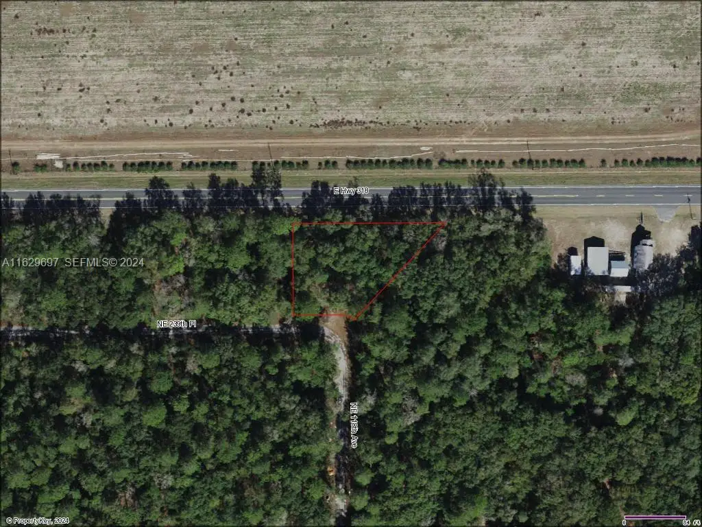 Address Withheld By Seller, Fort McCoy Anthony, FL  - #1