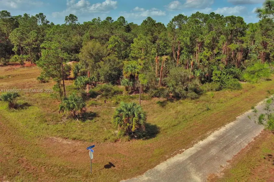 158 Nagel S Avenue, Lehigh Acres, FL 33974 - #3