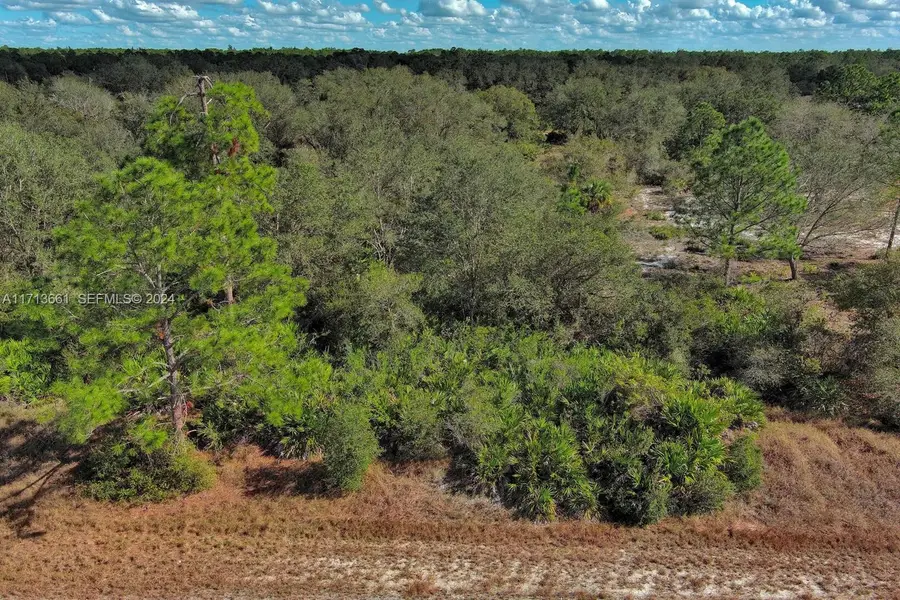 1514 Poinsettia Avenue, Lehigh Acres, FL 33972 - #3