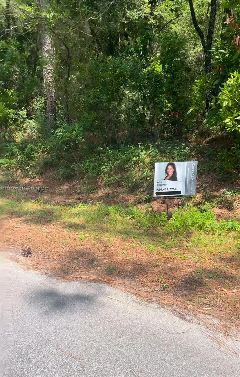 19835 SW 57 Street, Dunnellon, FL 34431 - #3