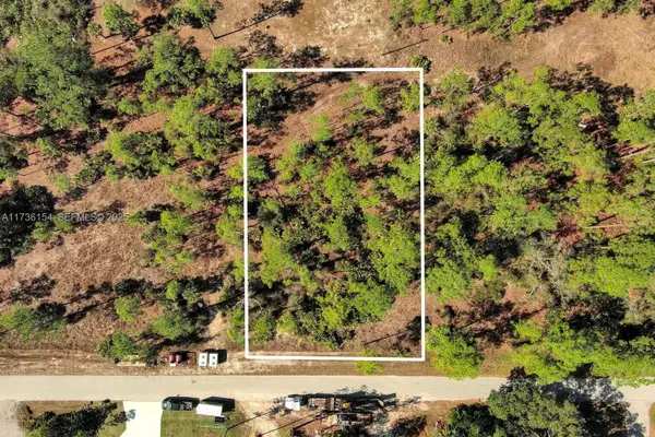 2309 Grant Avenue, Lehigh Acres, FL 33920