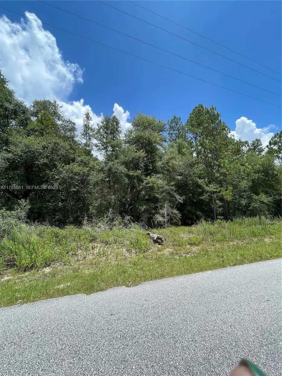 tbd SW Tbd 59th Lane, Dunnellon, FL 34431 - #2