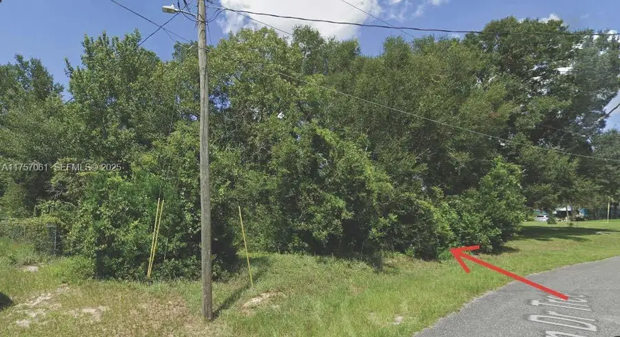 XX Xx Pecan Drive Trace, Ocala, FL 34472 - #3