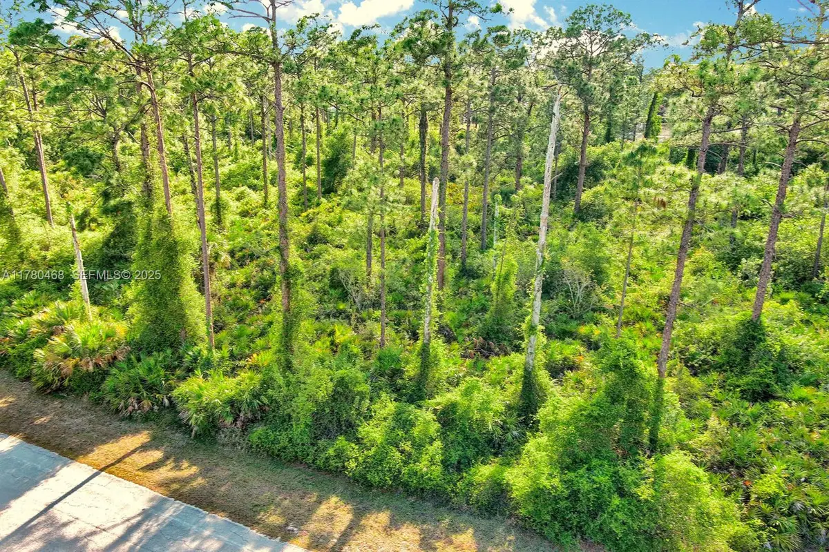 2019 Columbus Avenue, Lehigh Acres, FL 33920 - #1