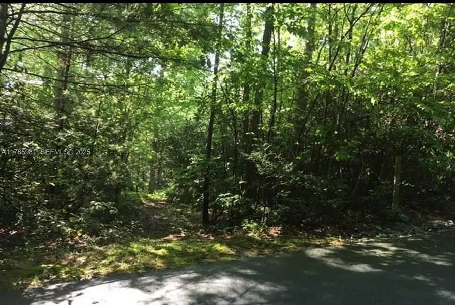 Lot 66 Juniper Court, Sapphire, NC  - #2