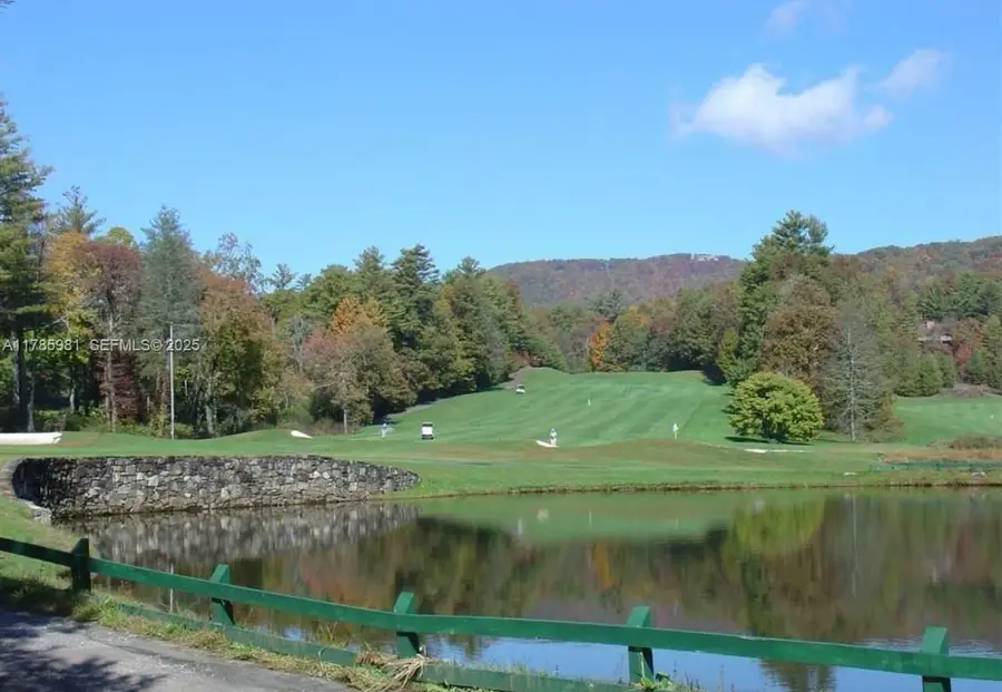 Lot 66 Juniper Court, Sapphire, NC  - #3