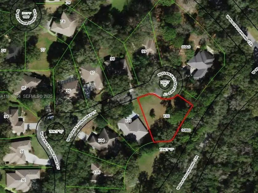 2940 W Plantation Pines Court, Lecanto, FL 34461 - #1