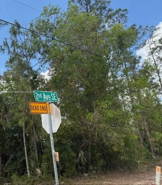 Golden Gate St 2nd Ave Golden Gate St 2nd Avenue Se, Naples, FL 34117 - #2