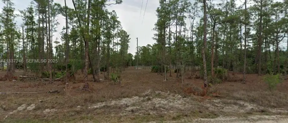 2005 E 13th Street, Lehigh Acres, FL 33971 - #1
