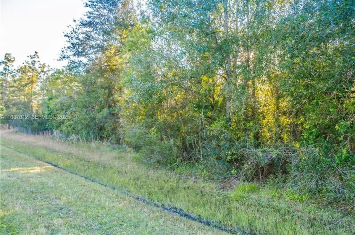 0 N Dallas Boulevard, Orlando, FL 32833 - #1
