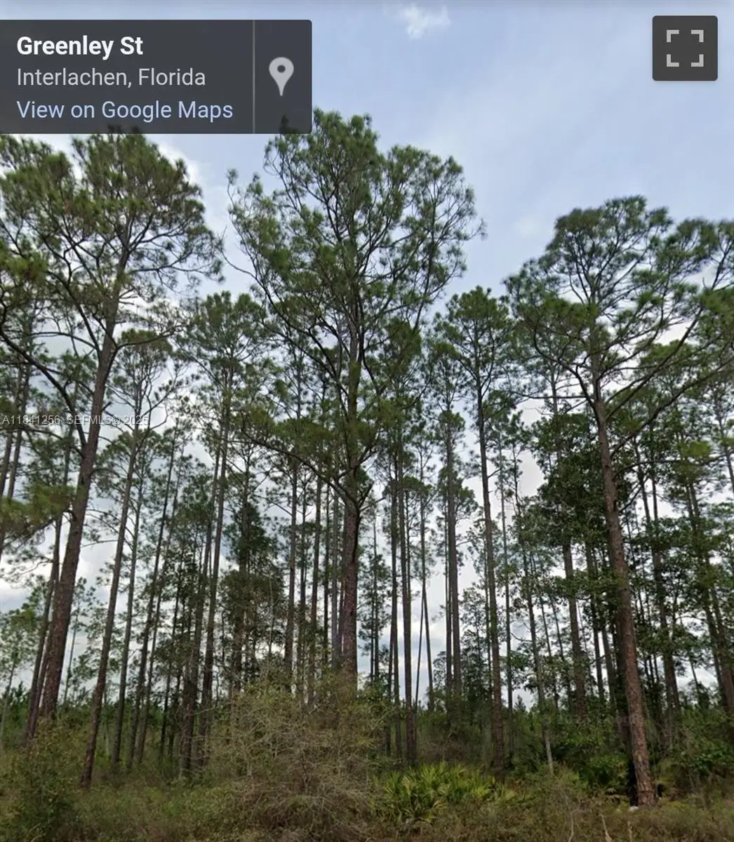 00 Greenley Street, Interlachen Florahome, FL 32148 - #1