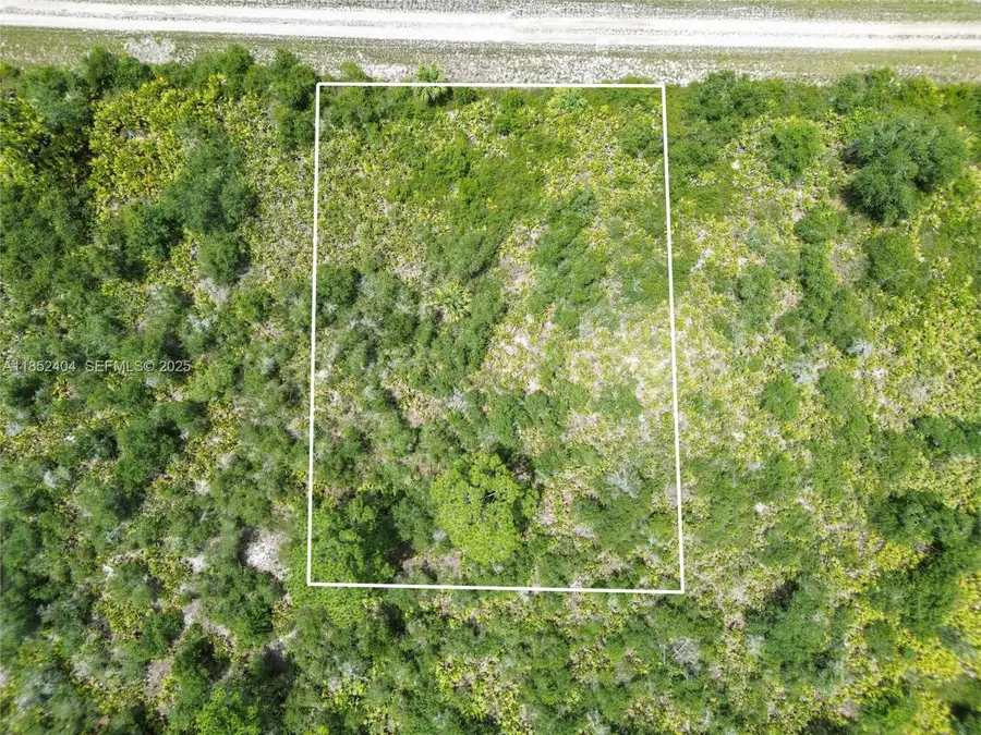 4222 E 29th Street, Alva, FL 33920 - #2