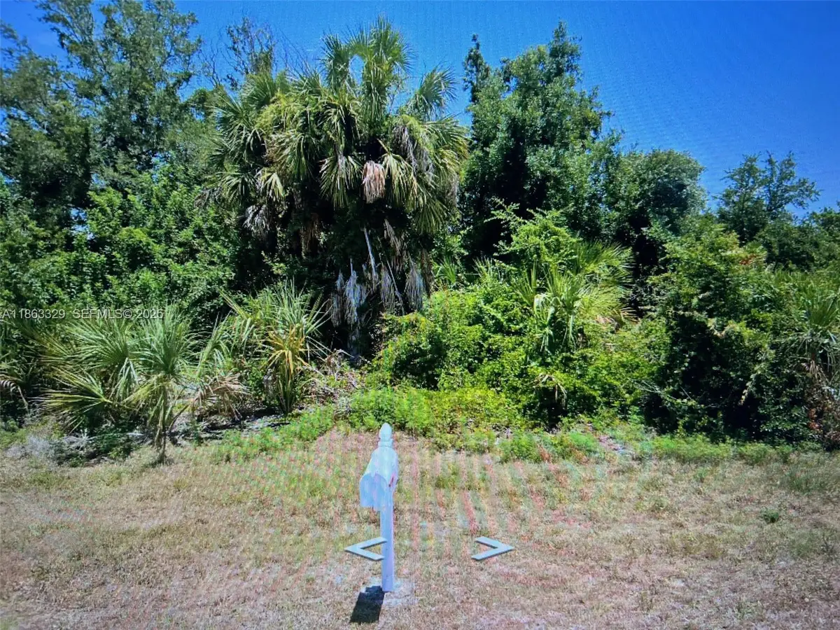 13436 Rayburn, Port Charlotte, FL 33981 - #1