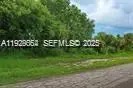 613 Grant Boulevard, Lehigh Acres, FL 33974 - #3